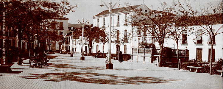 Alameda de Coin
